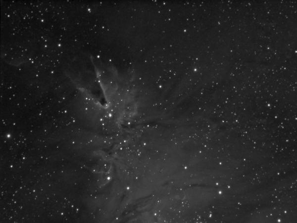 Περισσότερες πληροφορίες για το "Cone Nebula Ha"