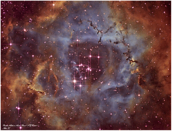 Rosetta Nebula In Narrow Band ( Ngc 2237 )