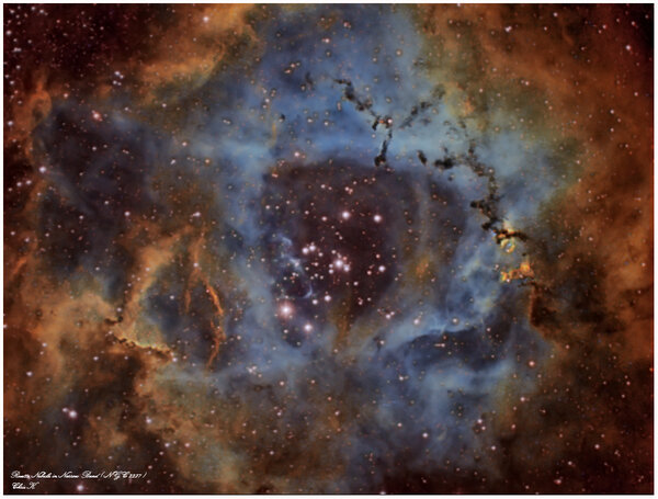 Rosetta Nebula In Narrow Band ( Ngc 2237 )