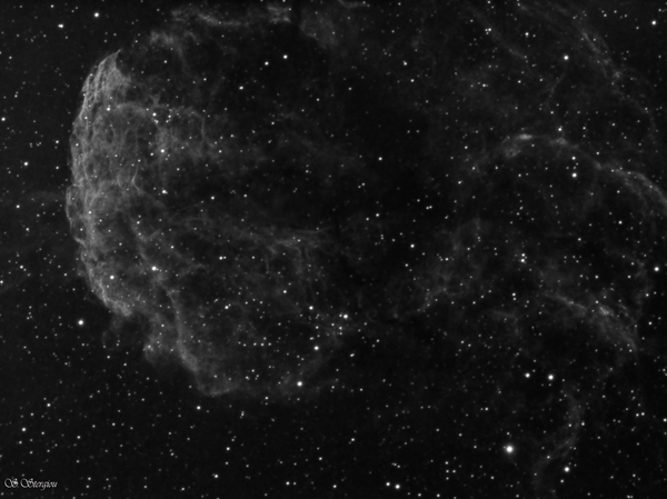 Ic443 Jellyfish Nebula Ha