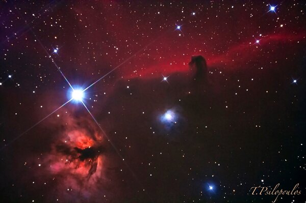Horsehead And Flame Nebula