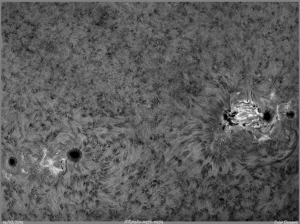 Active AR11974 την 14-02-2014