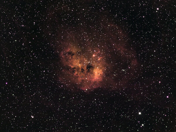 Ngc1893