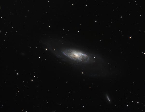 M106 με χρώμα