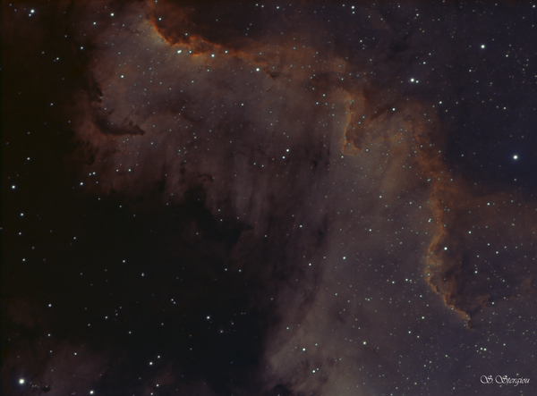 Ngc7000 Bicolor