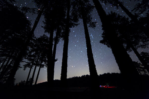 Meteor Over Astrophotographers!