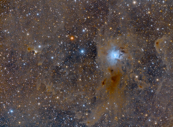 Περισσότερες πληροφορίες για το "Iris Nebula Wide Field"