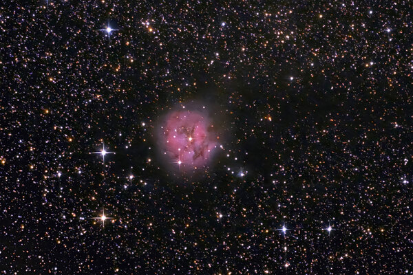 Cocoon Nebula  Ic 5146