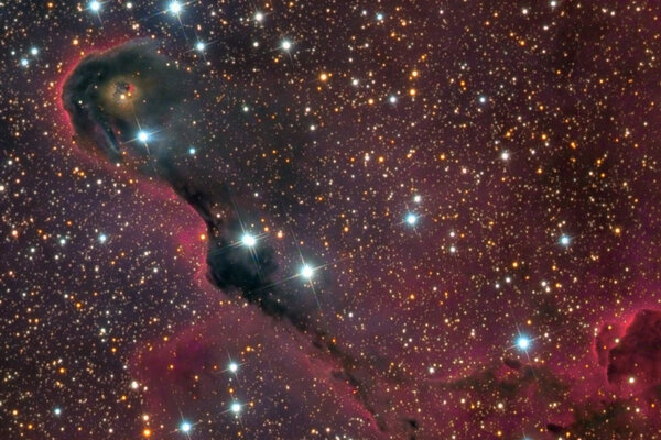 Περισσότερες πληροφορίες για το "The Elephant''s Trunk Nebula - Ic 1396"