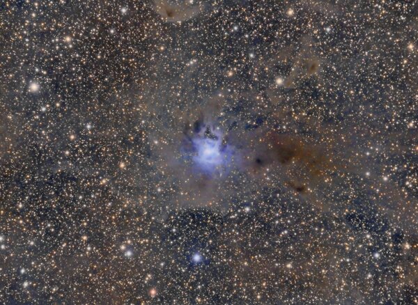 Ngc 7023 - Iris Nebula
