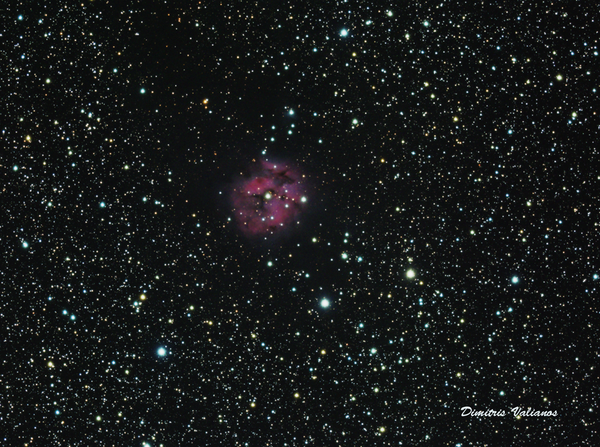 Ic5146 Coccon Nebula Lrgb