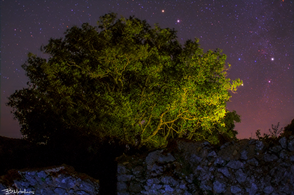 Νυχτερινό τοπίο στην Πυλίδα Σωκρακίου, Κέρκυρα