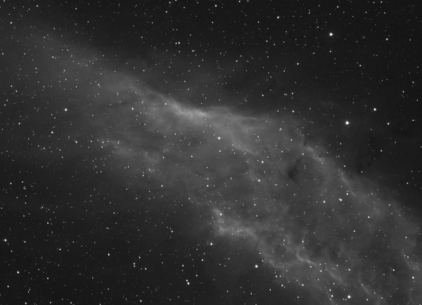 California Nebula (ngc 1499) In Ha