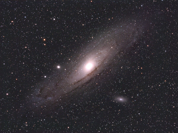 M31