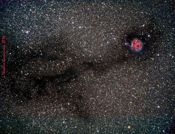 Barnard 168 (dark Nebula) And Cocoon Nebula