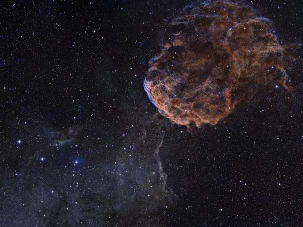 Jellyfish Nebula (ic 443)