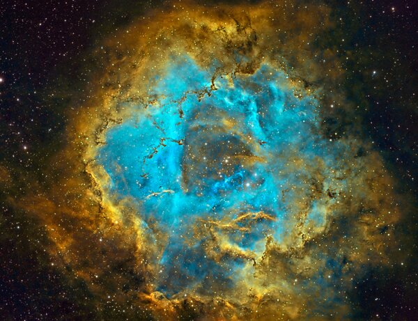 Caldwell 49 Rosette Nebula (HST)