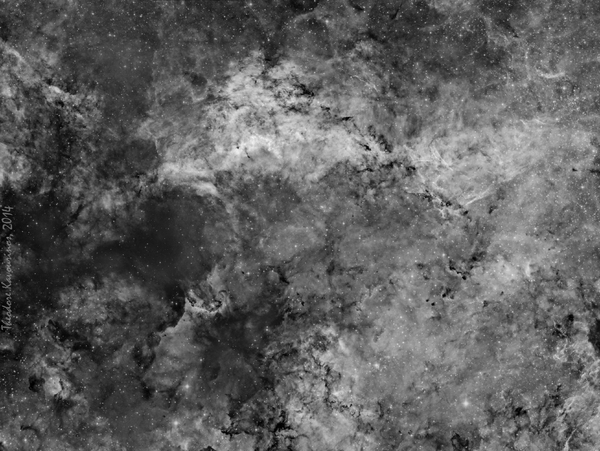 Ic 1318 Part A B&w