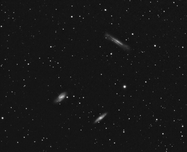 Leo Triplet