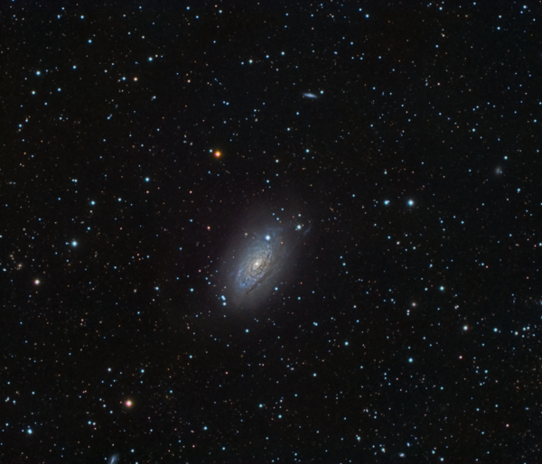 M63 (ngc 5055 Or The Sunflower Galaxy)