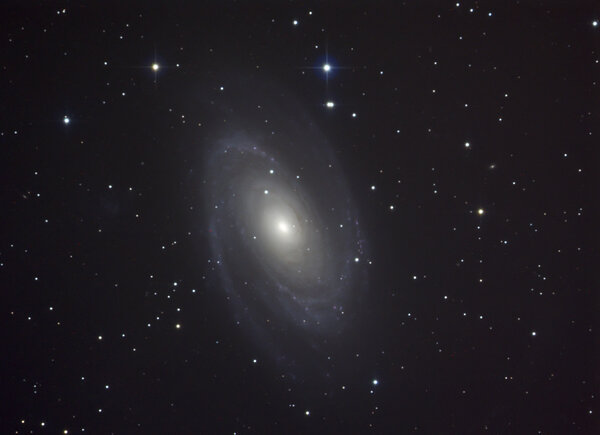 M81