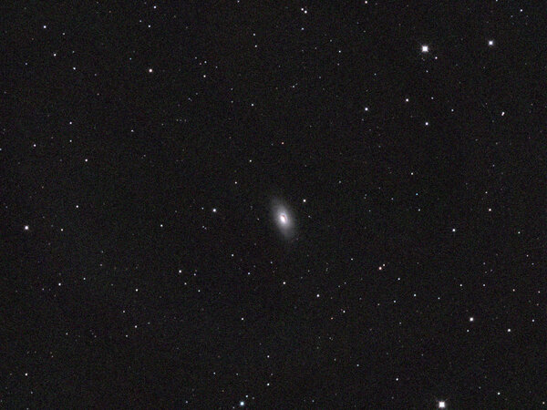 M64