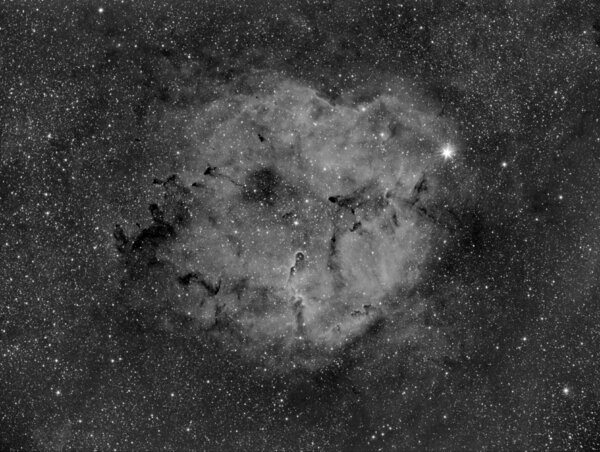 Ic 1396 - Elephant's Trunk Nebula Widefield in H-alpha