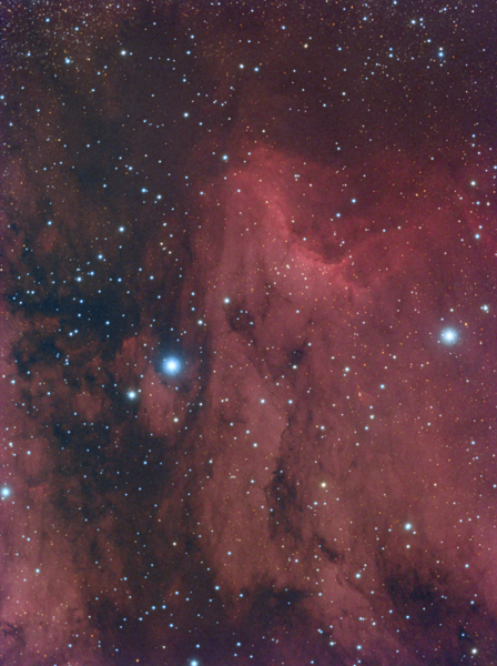 Ic 5070 -- Pelican Nebula