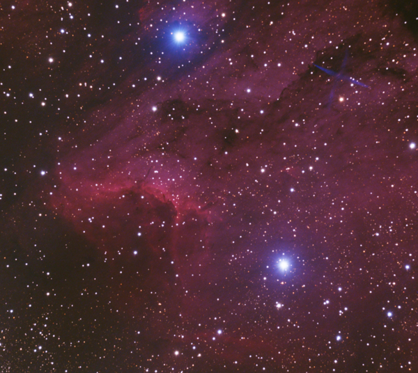 Pelican Nebula Rgb