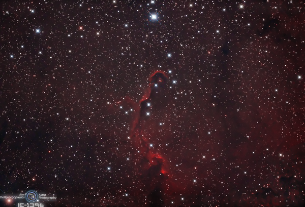 Ic-1396 Elephant''s Trunk Nebula