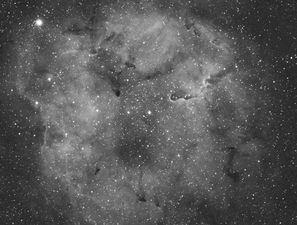 Νεφέλωμα της προβοσκίδας - Ic1396 (τμήμα)