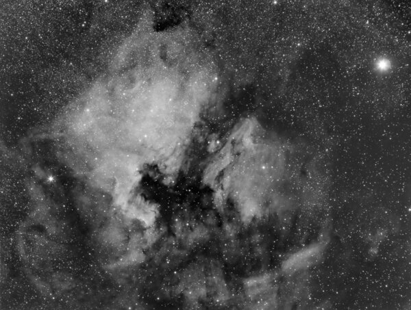 Ngc 7000 - North America Nebula Widefield In H-alpha