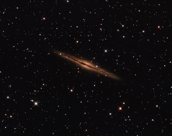 Ngc 891