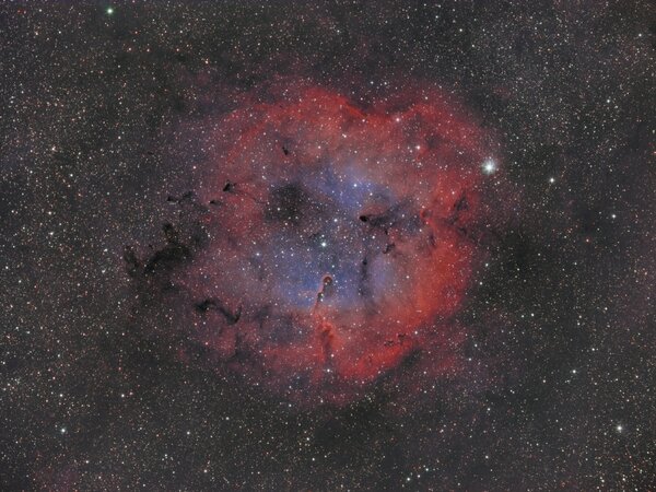 Περισσότερες πληροφορίες για το "Ic 1396 - Elephant's Trunk Widefield in RGB (Biocolor)"