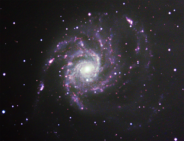 M 101