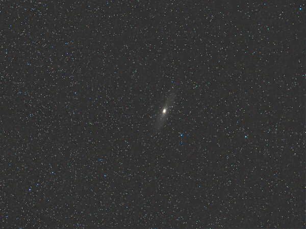 M31