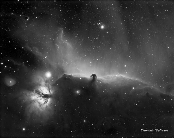 Ic434 Horse Head Nebula In Ha