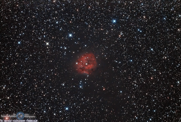 Ic 5146 Coccon Nebula