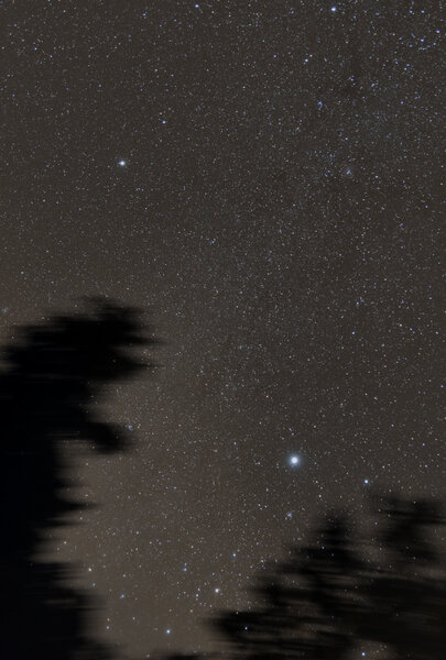 Milky Way Around Canis Major