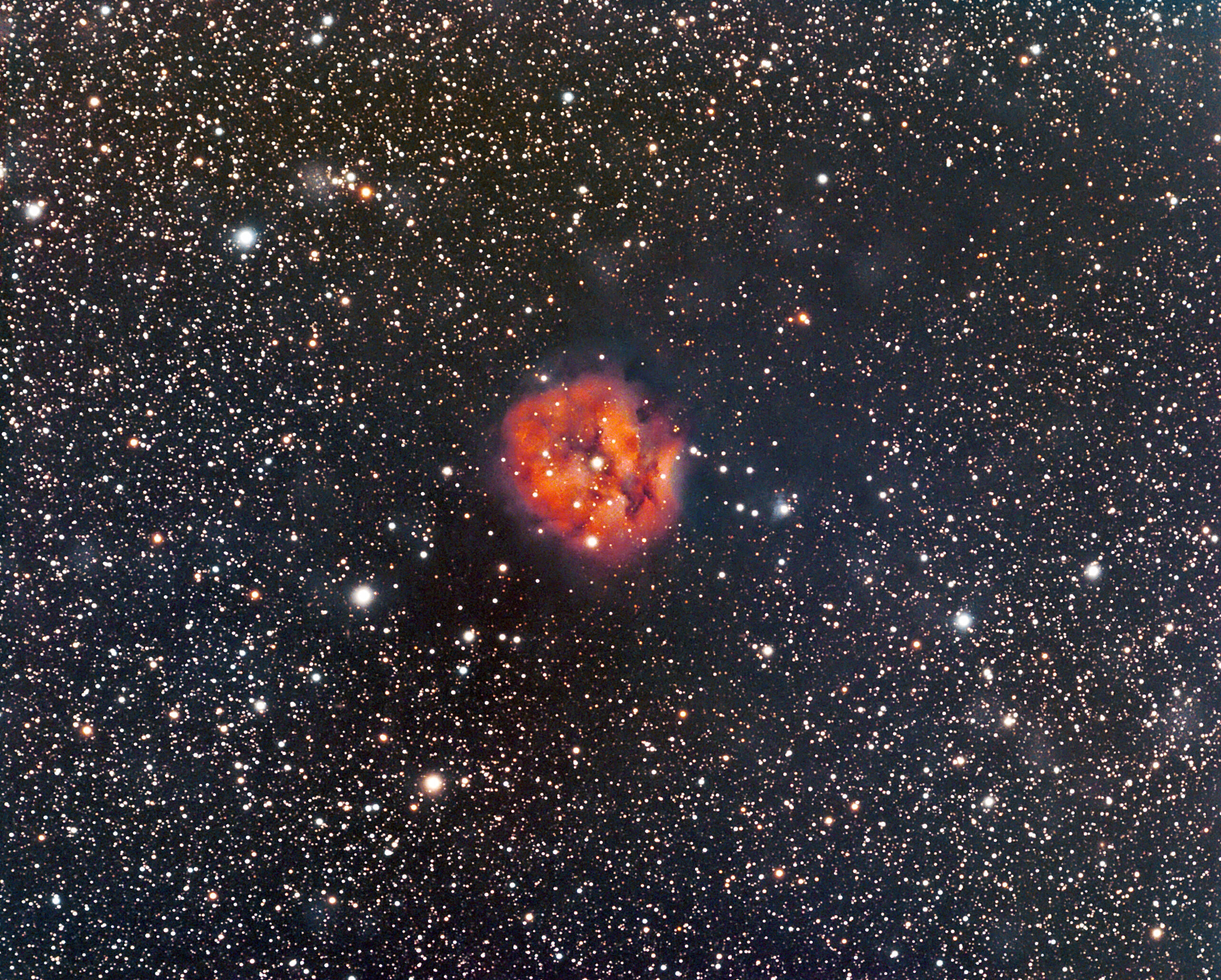 Ic 5146 Cocoon Nebula  Hargb