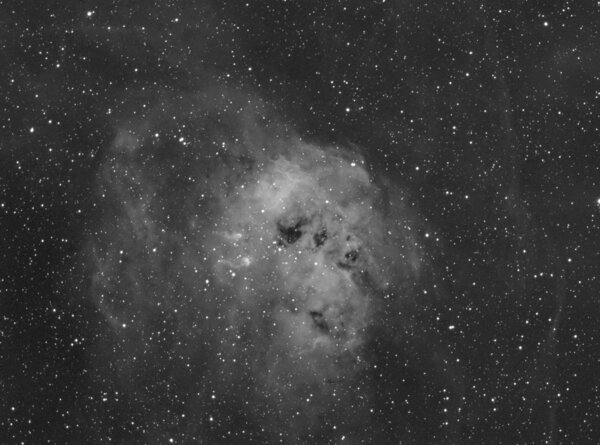 Ic 410 - A Nebula With Tadpoles