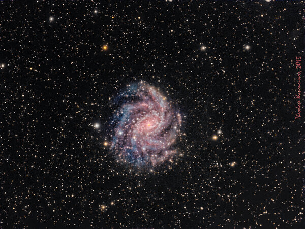 Fireworks Galaxy