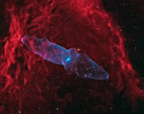 Ou4 & Sh2 129 : A Giant Squid Nebula And A Flying Bat