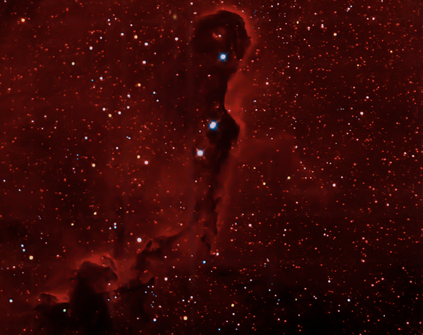 Ic1396 Elephant''s Trunk