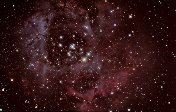 Rosette Nebula