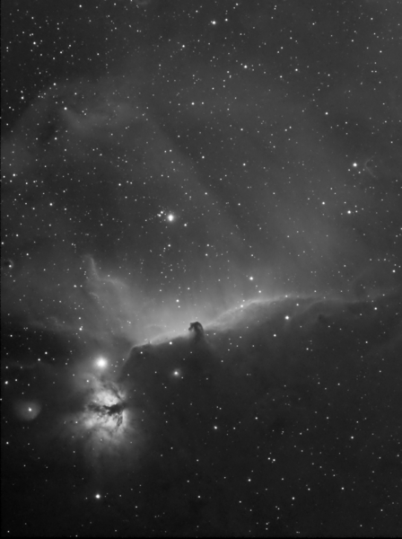 Horsehead Nebula Area - Ha