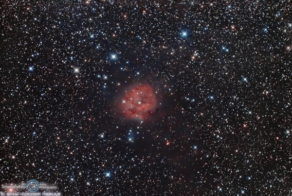 Cocoon Nebula  (ic 5146)