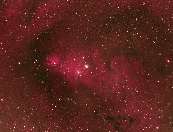 Ngc2264