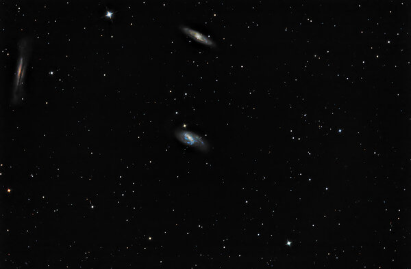 Leo Triplet