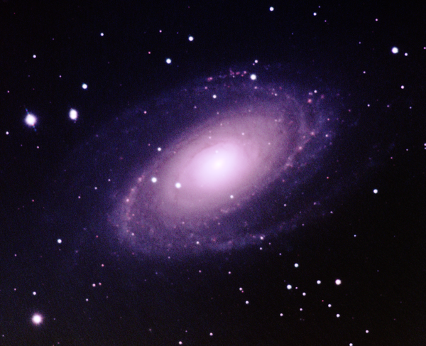 M81